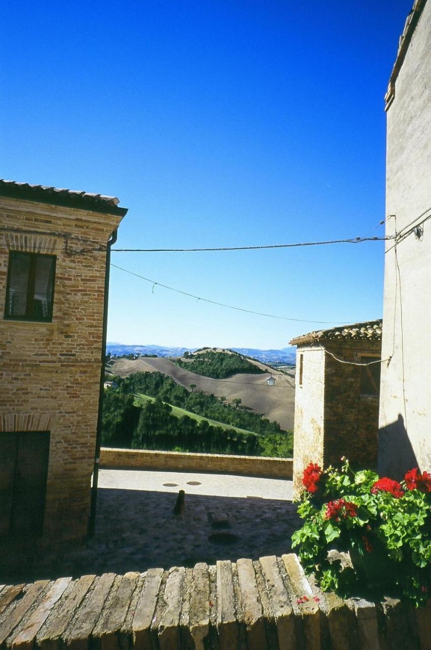 Agriturismo Pozzuolo Serrungarina Exteriér fotografie