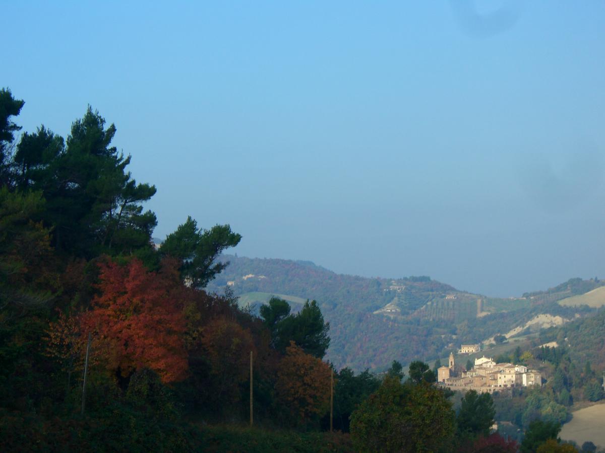 Agriturismo Pozzuolo Serrungarina Exteriér fotografie