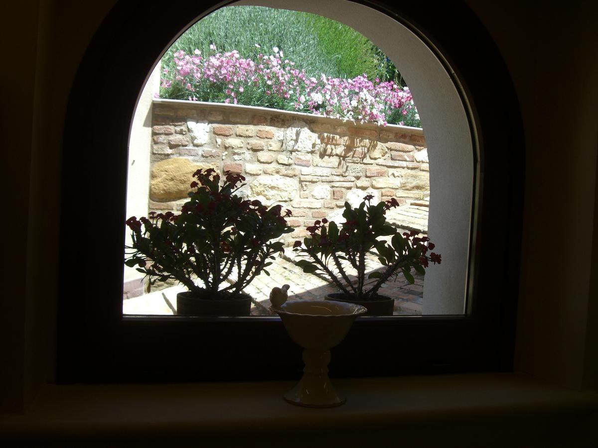 Agriturismo Pozzuolo Serrungarina Exteriér fotografie