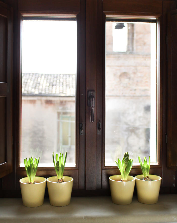Agriturismo Pozzuolo Serrungarina Exteriér fotografie