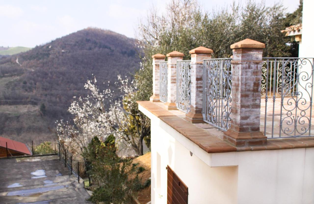 Agriturismo Pozzuolo Serrungarina Exteriér fotografie